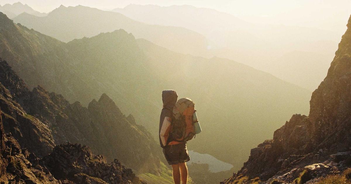 SQLD vs ADsP 2026년 비교 총정리: 데이터 자격증 뭘 먼저 따야 할까? (난이도·취업·연봉 분석)