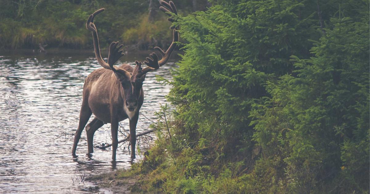 featured 1774207158107