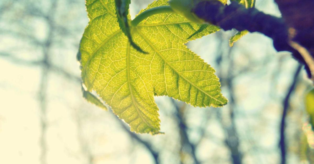 featured 1774466825054