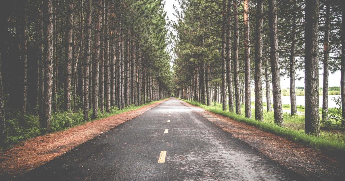 featured 1774891245116