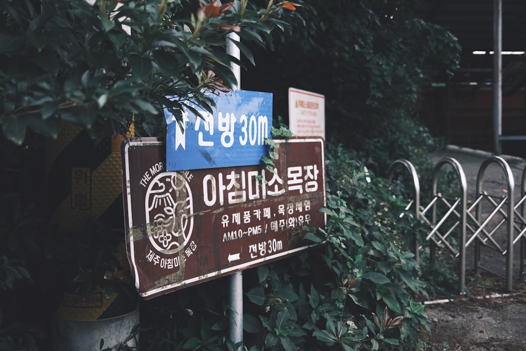 featured 1777253193567