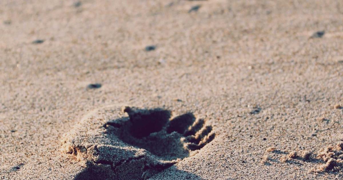 2026 우리은행 vs 타행 금리 TOP 5 비교