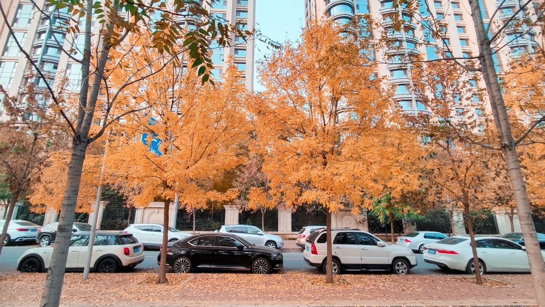 featured 1777360010815