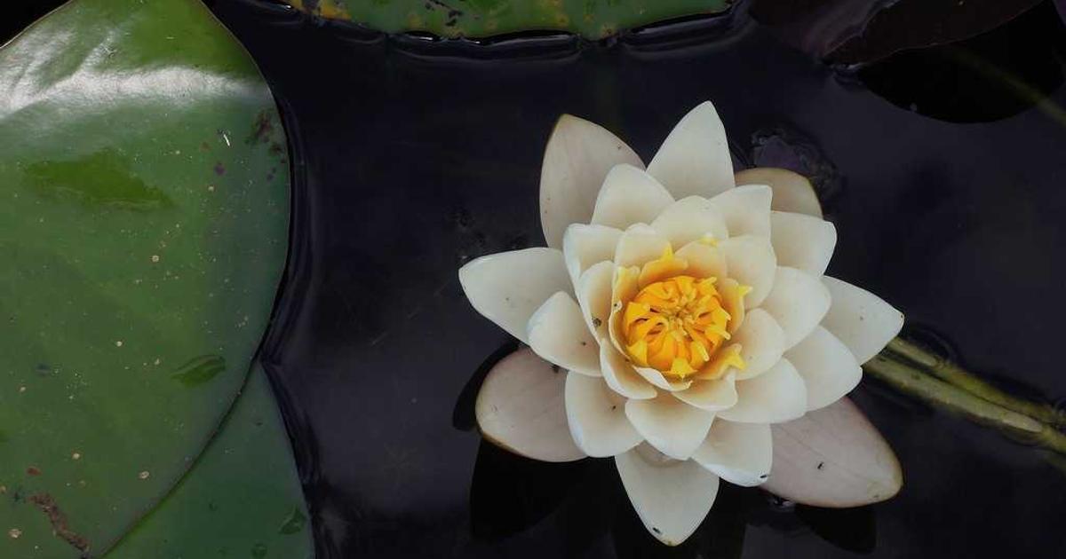 KB국민은행 비대면 통장 개설 3단계 2026